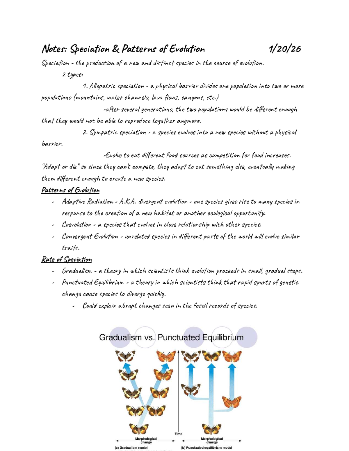 Lecture Notes: Speciation & Patterns of Evolution - Studocu
