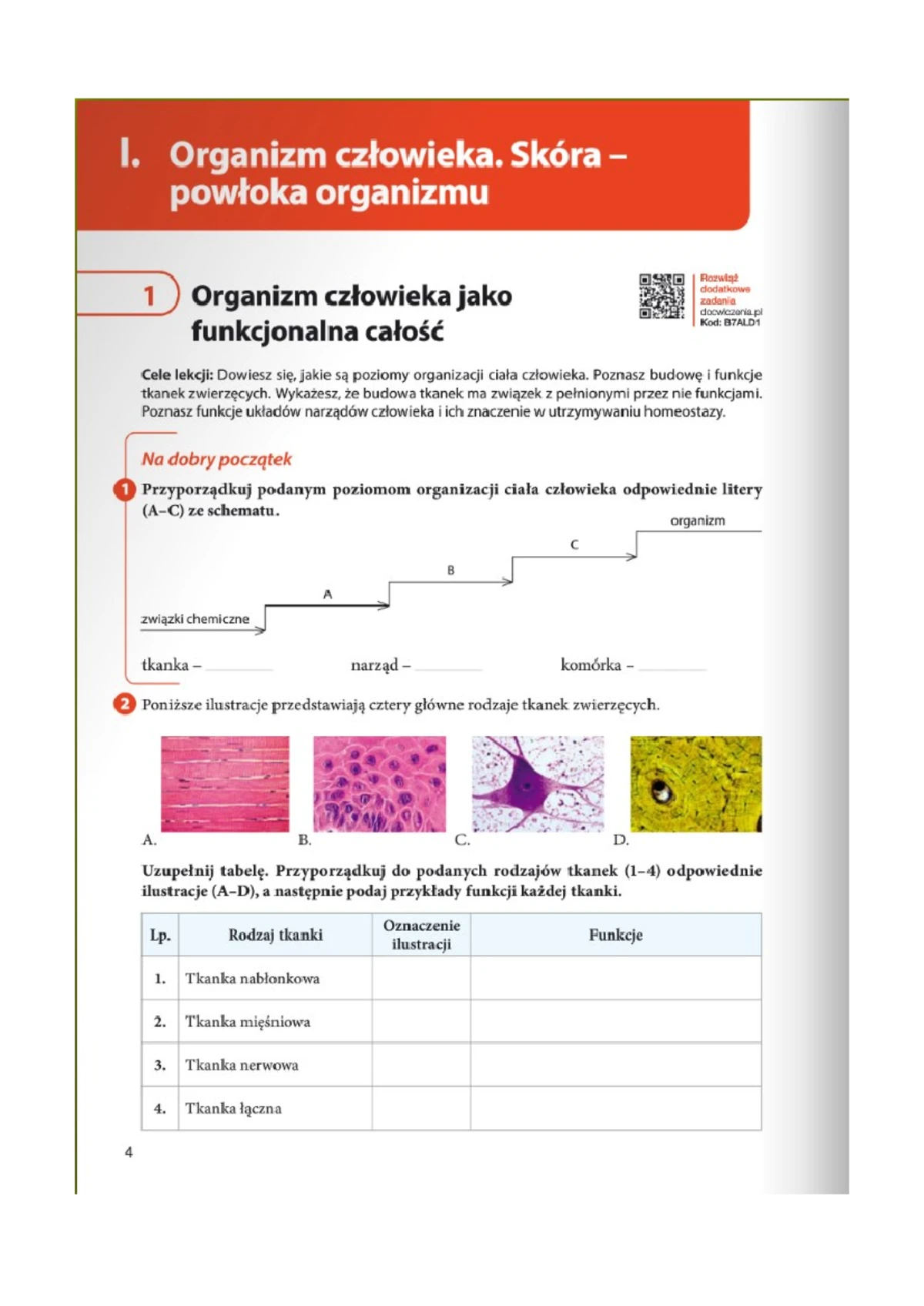 Organizm człowieka jako funkcjonalna całość - Organizm człowieka ma