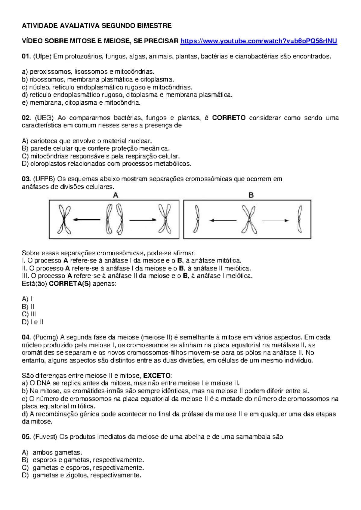 Atividade Avaliativa - Divisão Celular e Processos de Mitose e Meiose ...