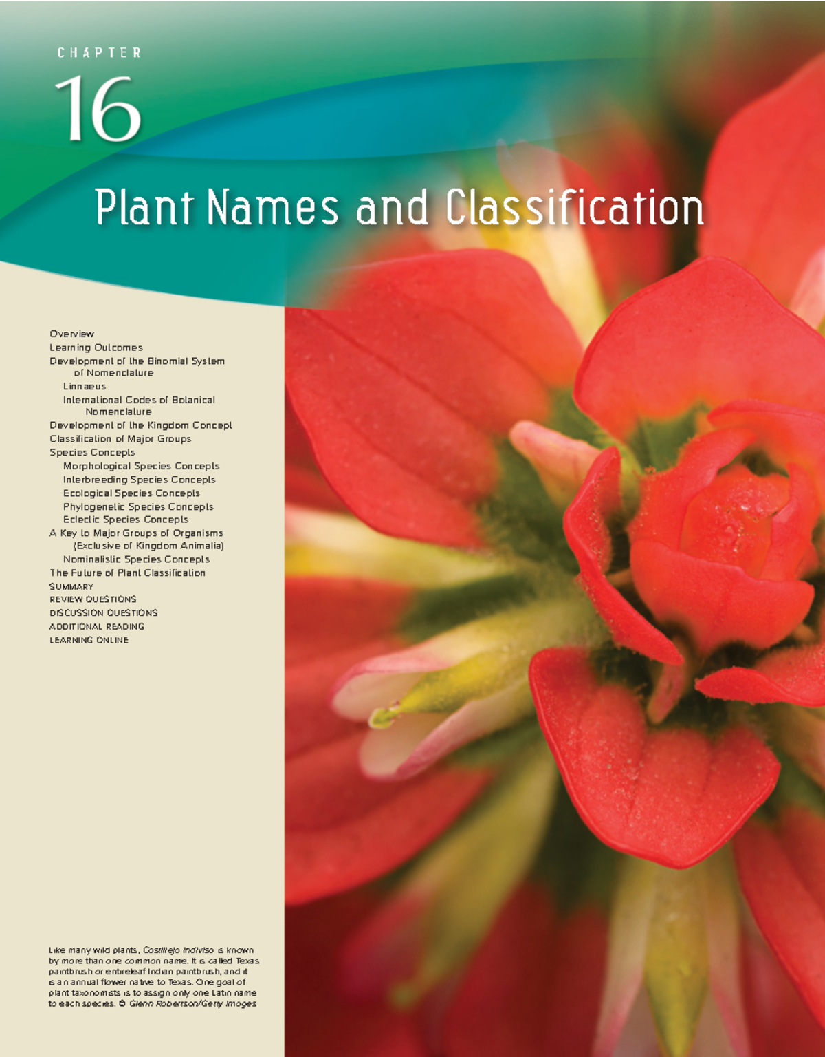 Chapter 16: Understanding Plant Names and Classification Systems - Studocu