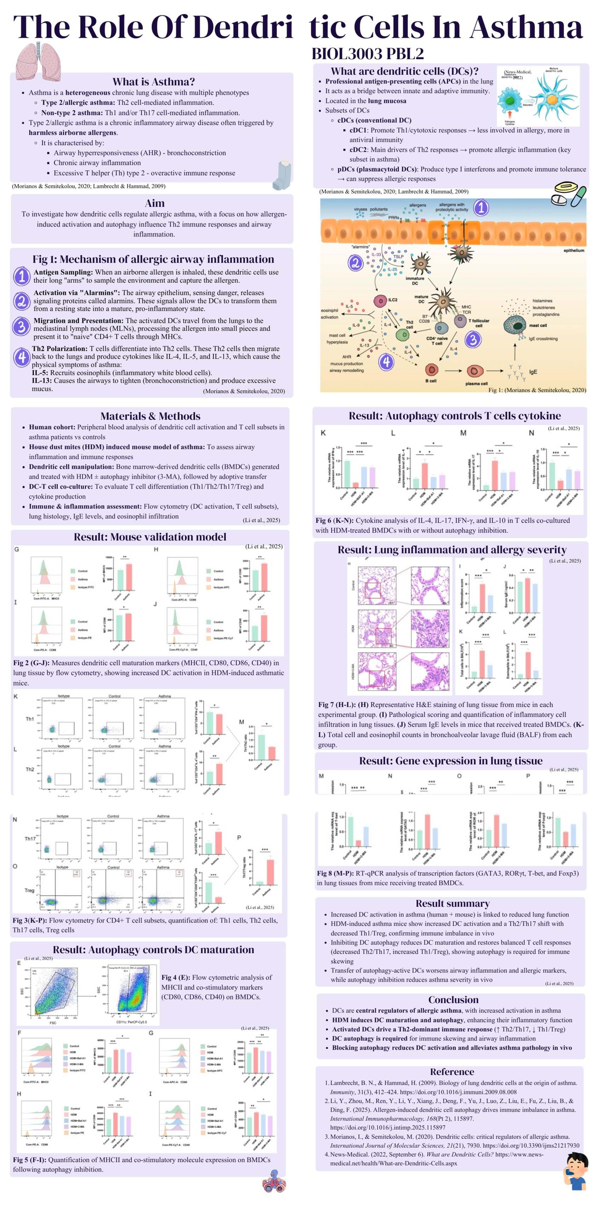 BIOL3003 PBL2 Poster: Dendritic Cells' Role in Asthma Mechanisms - Studocu
