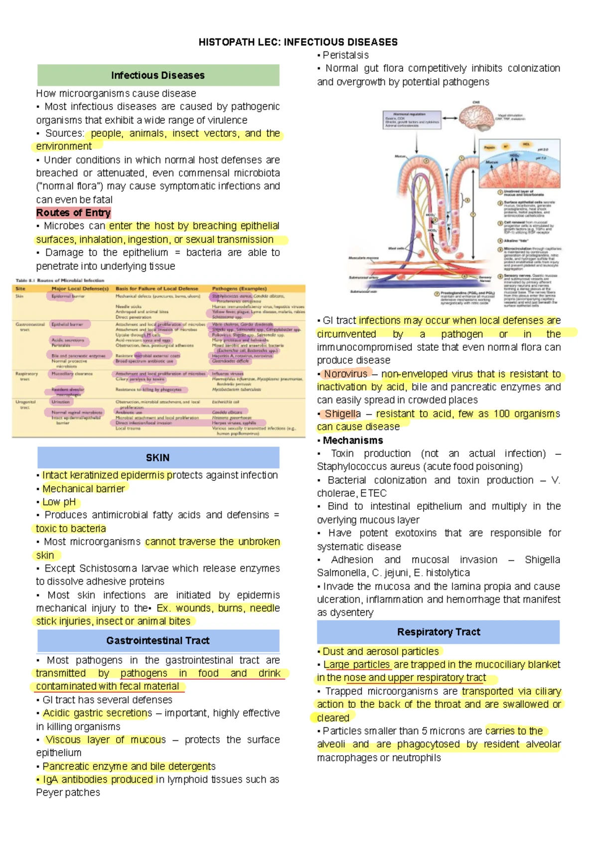 HISTOPATH LEC 1: Overview of Cytoskeletal Proteins and Cell Functions ...