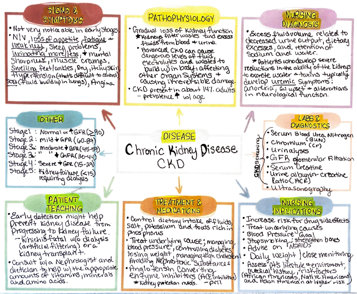Concept Map Study Guide - Adobe Scan Notes (Dec 13, 2023) - Studocu