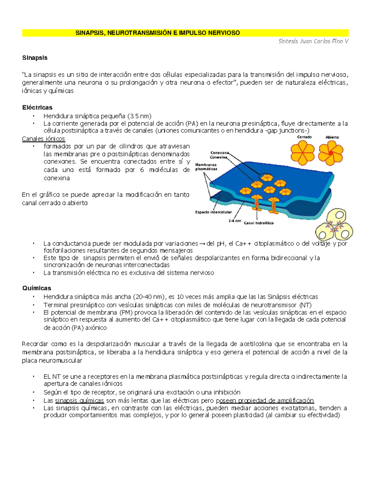 Síntesis de Neurofisiología 2021: Sinapsis y Neurotransmisión - Studocu
