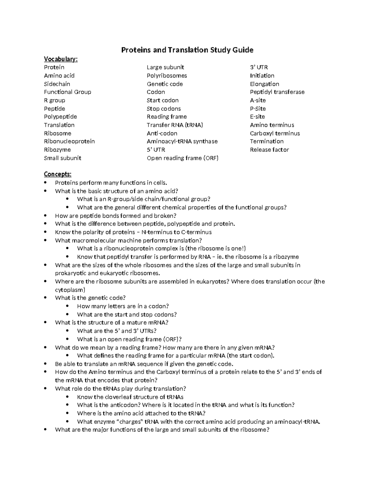Proteins and Translation Study Guide: Key Concepts & Vocabulary - Studocu
