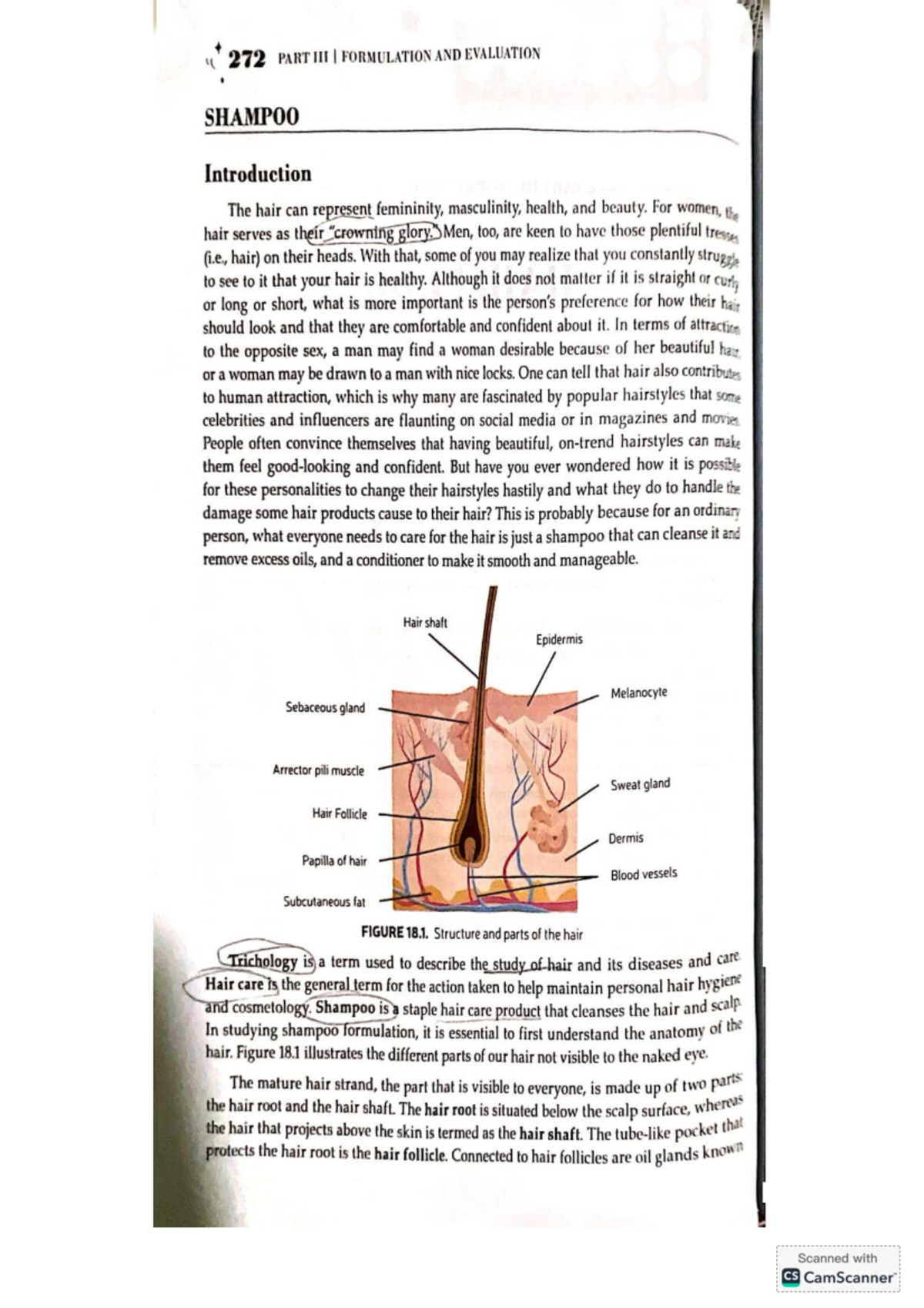 272 CH18: Formulation & Evaluation of Shampoo - An Overview - Studocu
