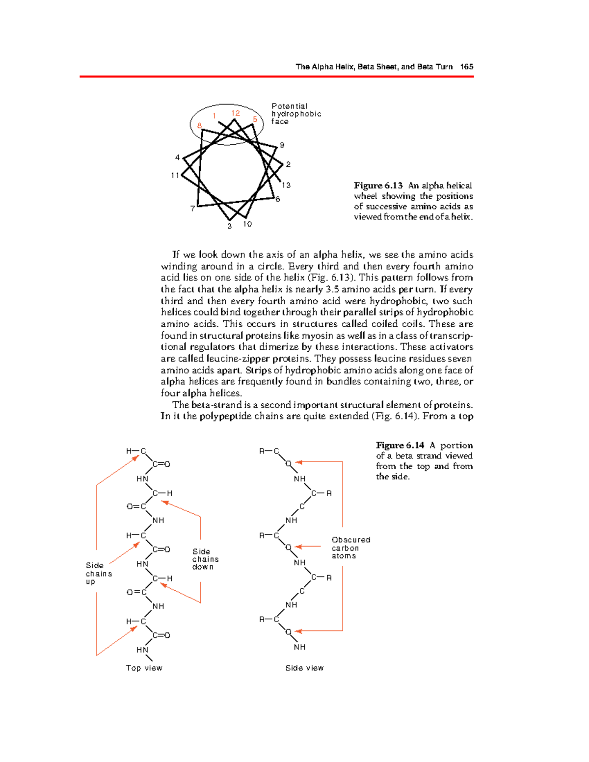 Genetics and Molecular Biology – Part 91: Alpha Helix and Beta Sheet ...