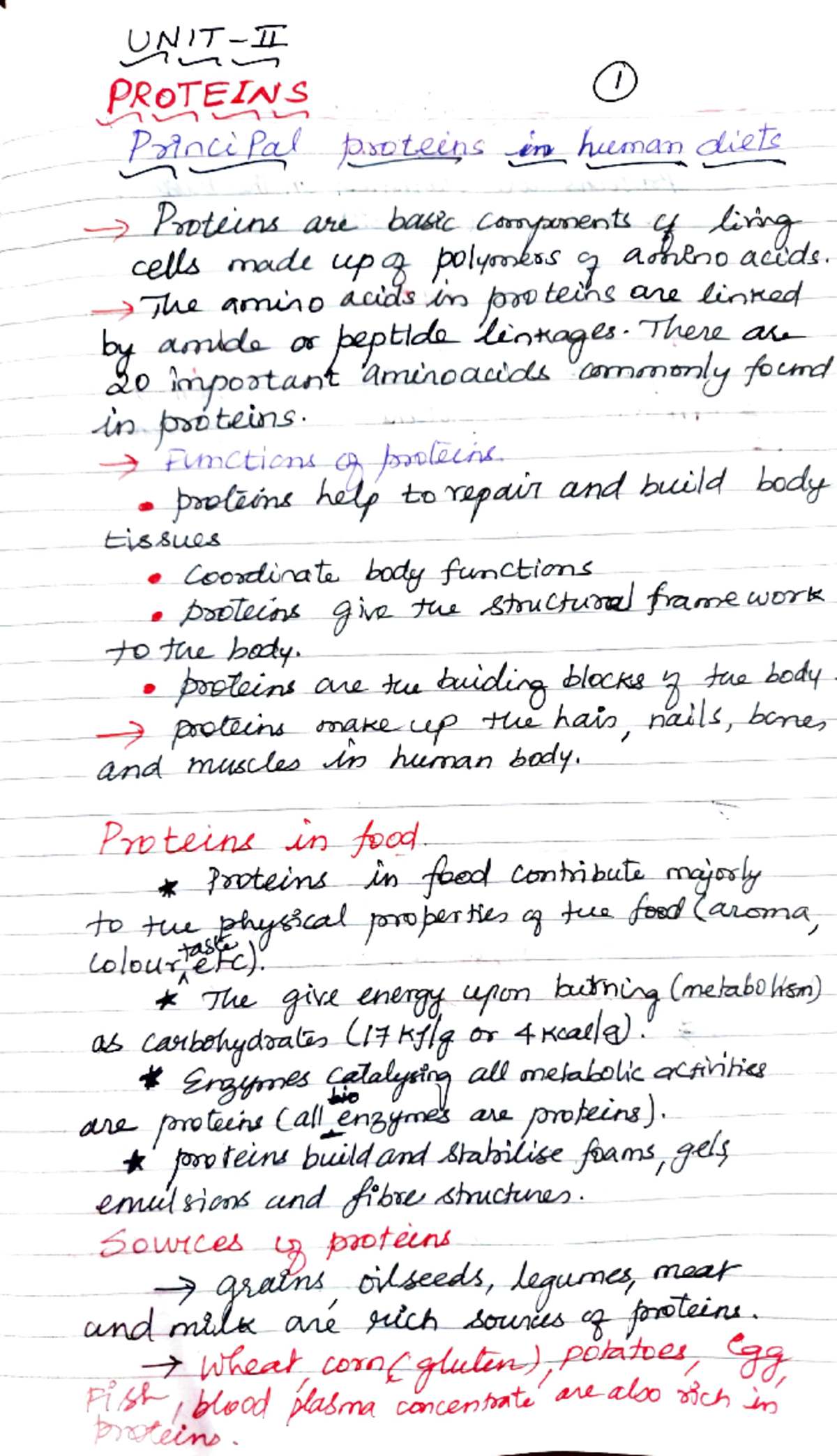 Protein Structures and Functions According to 2023 Guidelines (BIO-101 ...