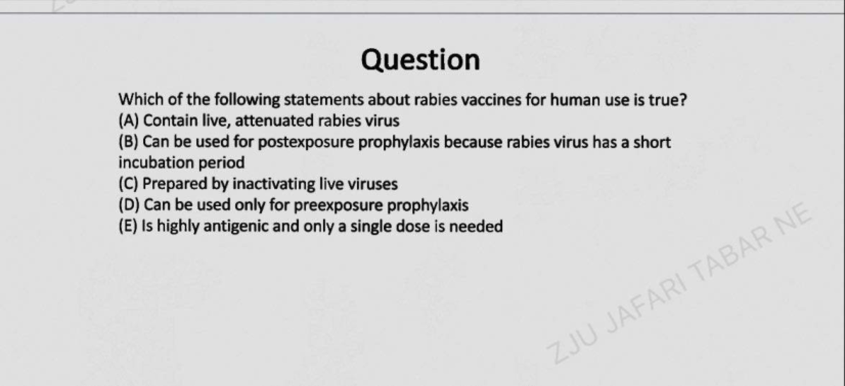 Rabies and Herpes Virus Vaccines: Key Questions and Answers (ZJU) - Studocu