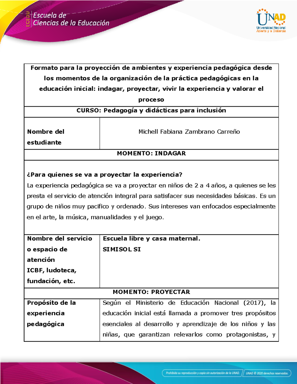 Formato para la Proyección de Experiencias en Educación Inicial - PED ...
