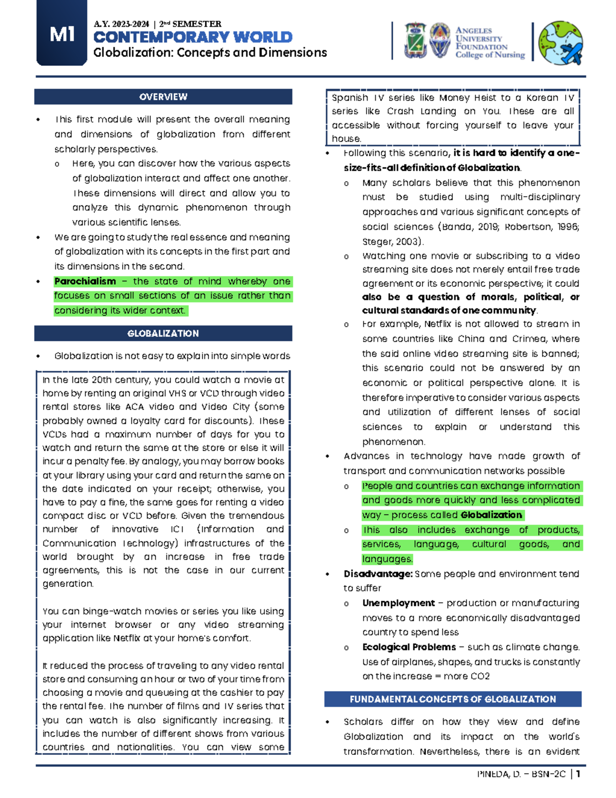 Module Overview: Political, Economic, and Cultural Globalization - BSN ...
