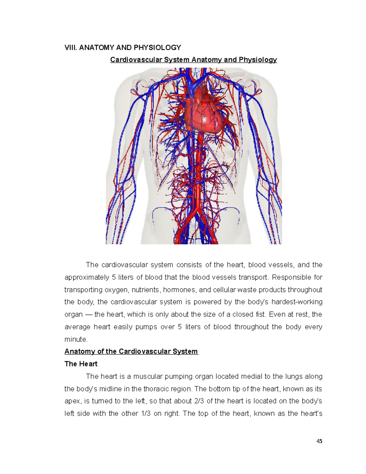 318497980 6 Cardiovascular System Anatomy & Physiology Notes - Studocu