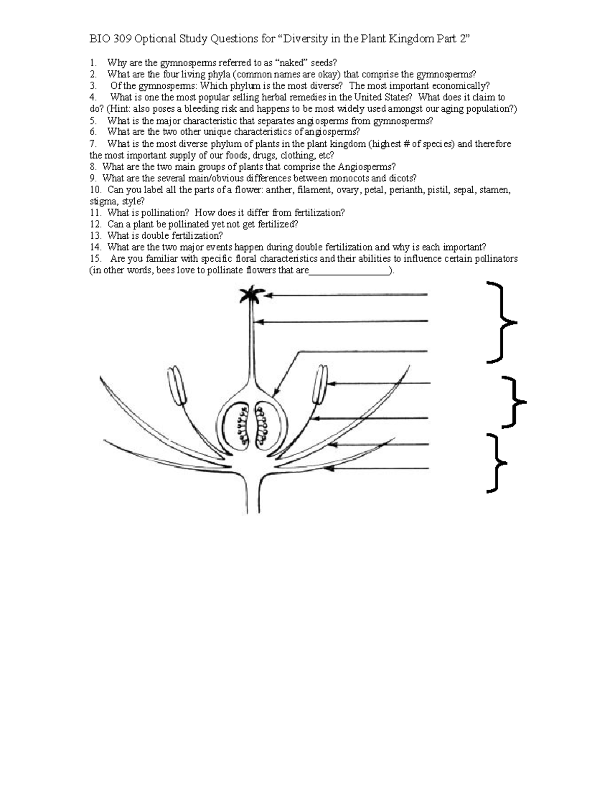 BIO 309 Optional Study Questions: Plant Kingdom Part 2 - Studocu