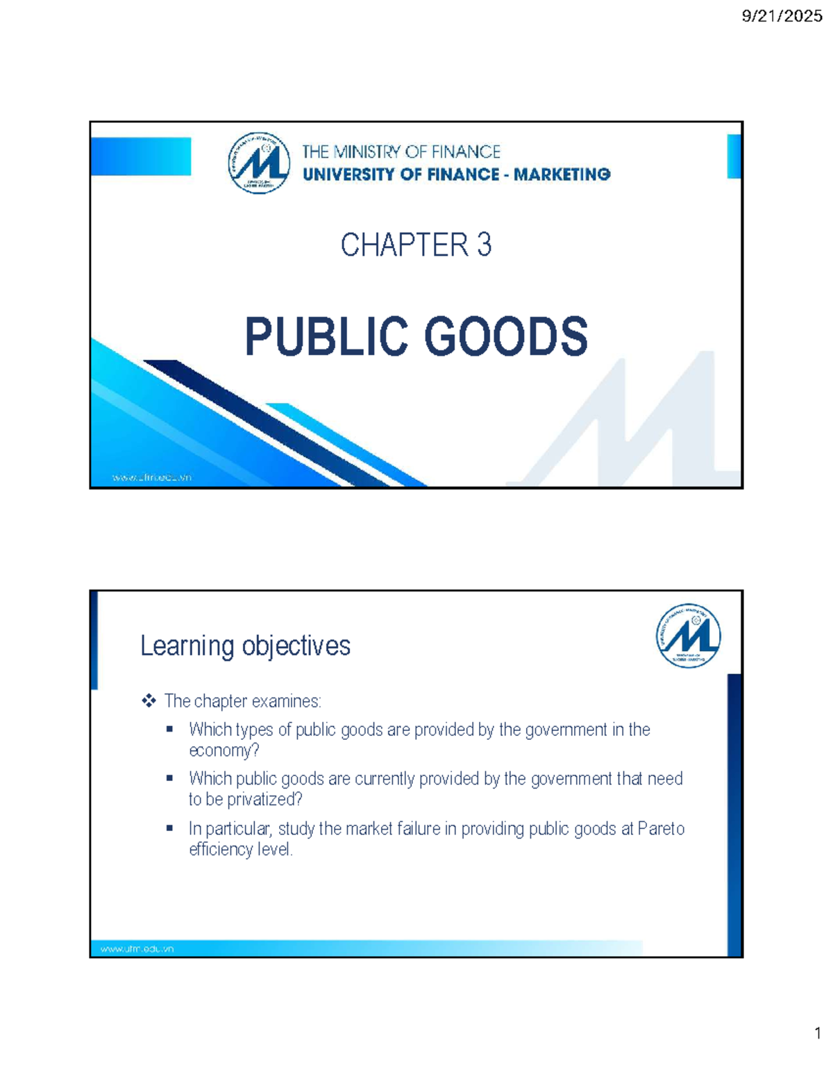 CHAPTER 3 - PUBLIC GOODS: Understanding Provision and Challenges - Studocu