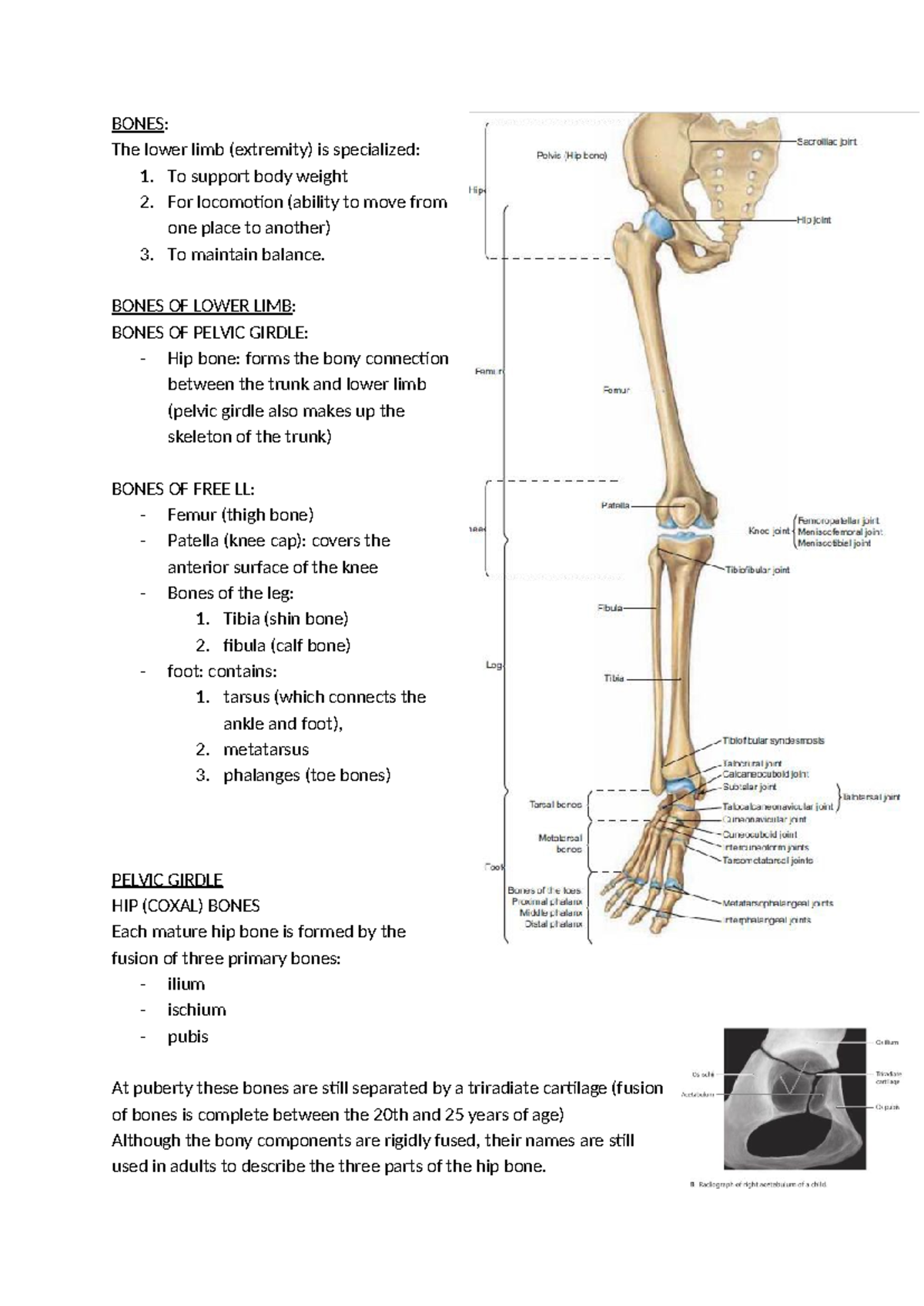 Patterns of Soft-Tissue Tumor Extension in and out of the Pelvis | AJR, image size:1200x1696