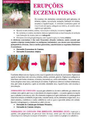 Problema 05 - Plect - Lecture - PLECT OBJETIVOS Descrever as lesões de ...
