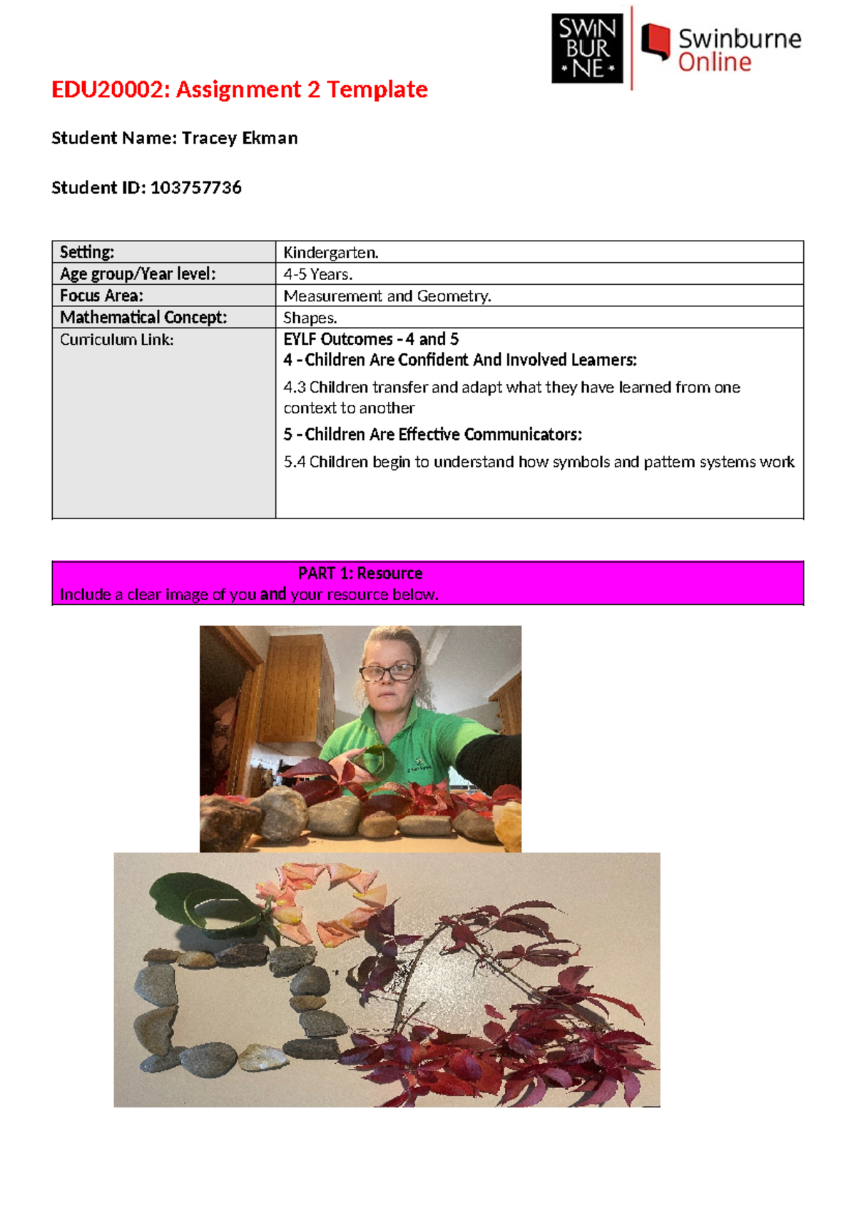 EDU 2000: Maths in Practice Assignment 2 - Shapes Assessment Resources ...