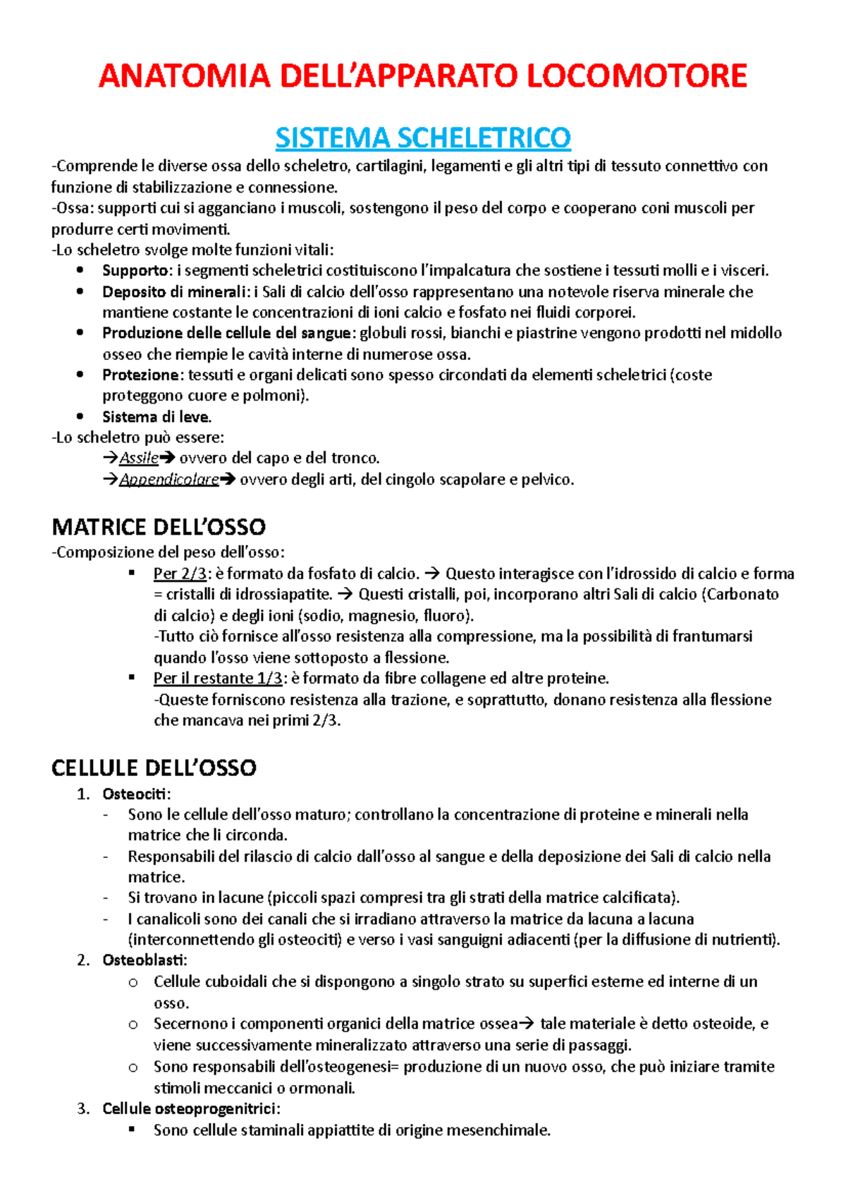 3 Anatomia Apparato Locomotore Anatomia Locomotore Sistema