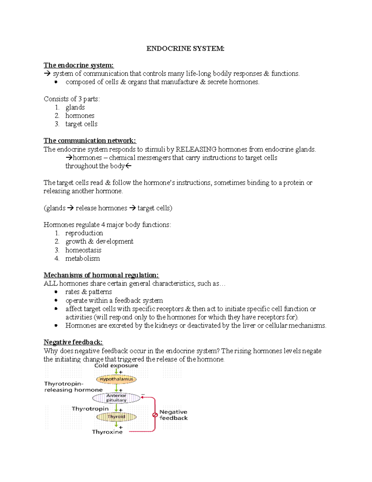 N331 - Exam 1 Info (01-24-22) - ENDOCRINE SYSTEM: The endocrine system ...