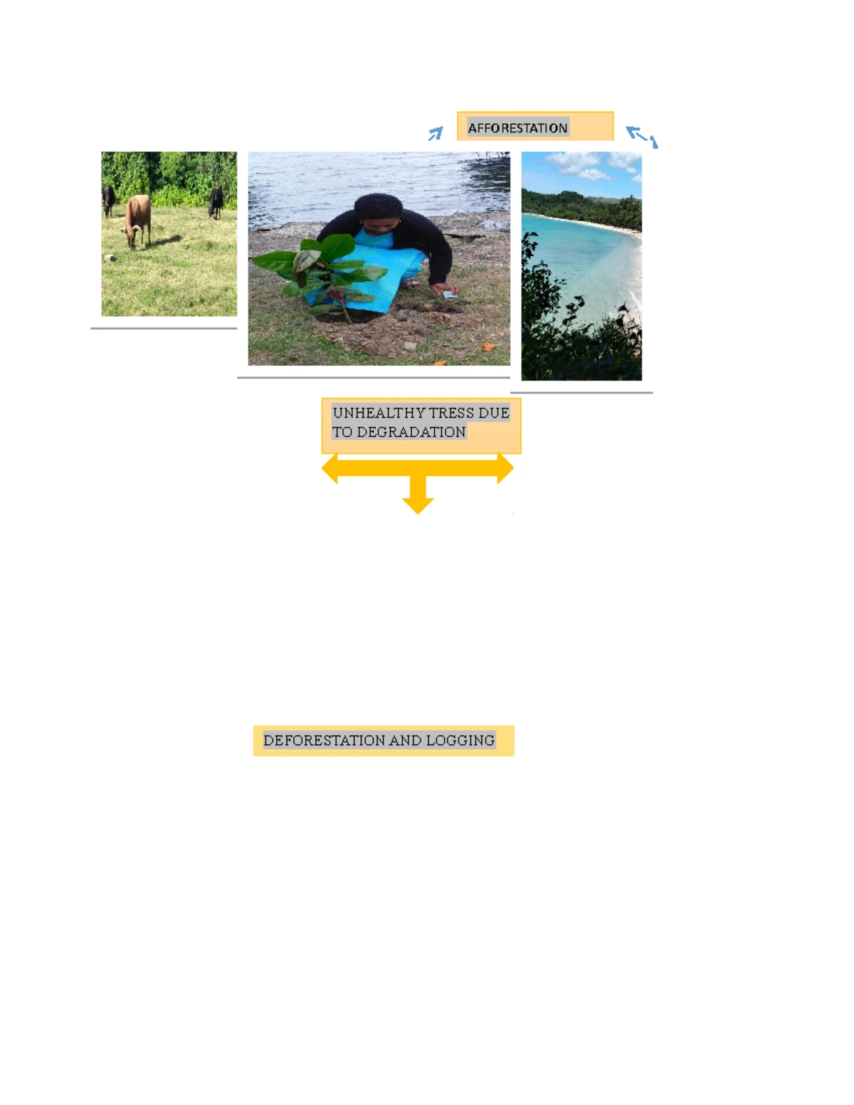 Matai Proposal UU 204: Deforestation Impact & Preservation Strategies ...
