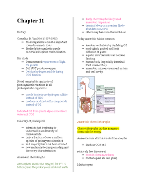 Eukaryotic Cell Structure and Function: An In-Depth Overview (BIOL101 ...
