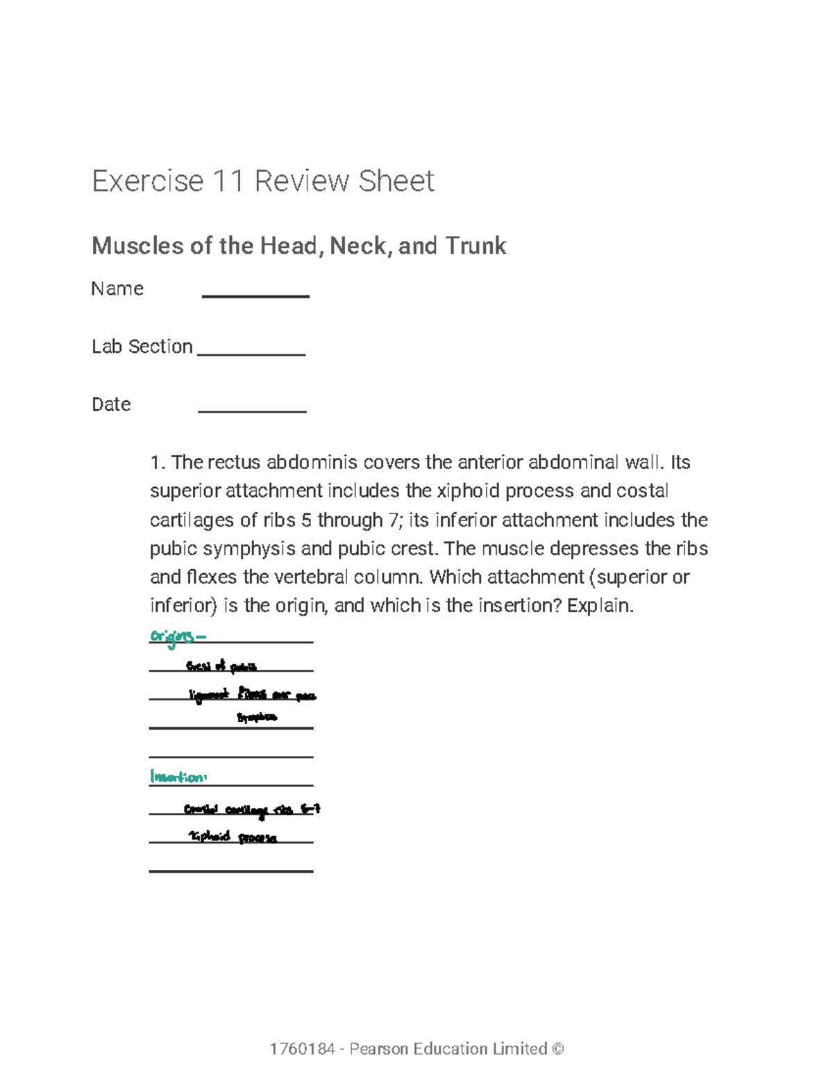 Lab 11 - Muscles of the Head, Neck, and Trunk Review Sheet - Studocu