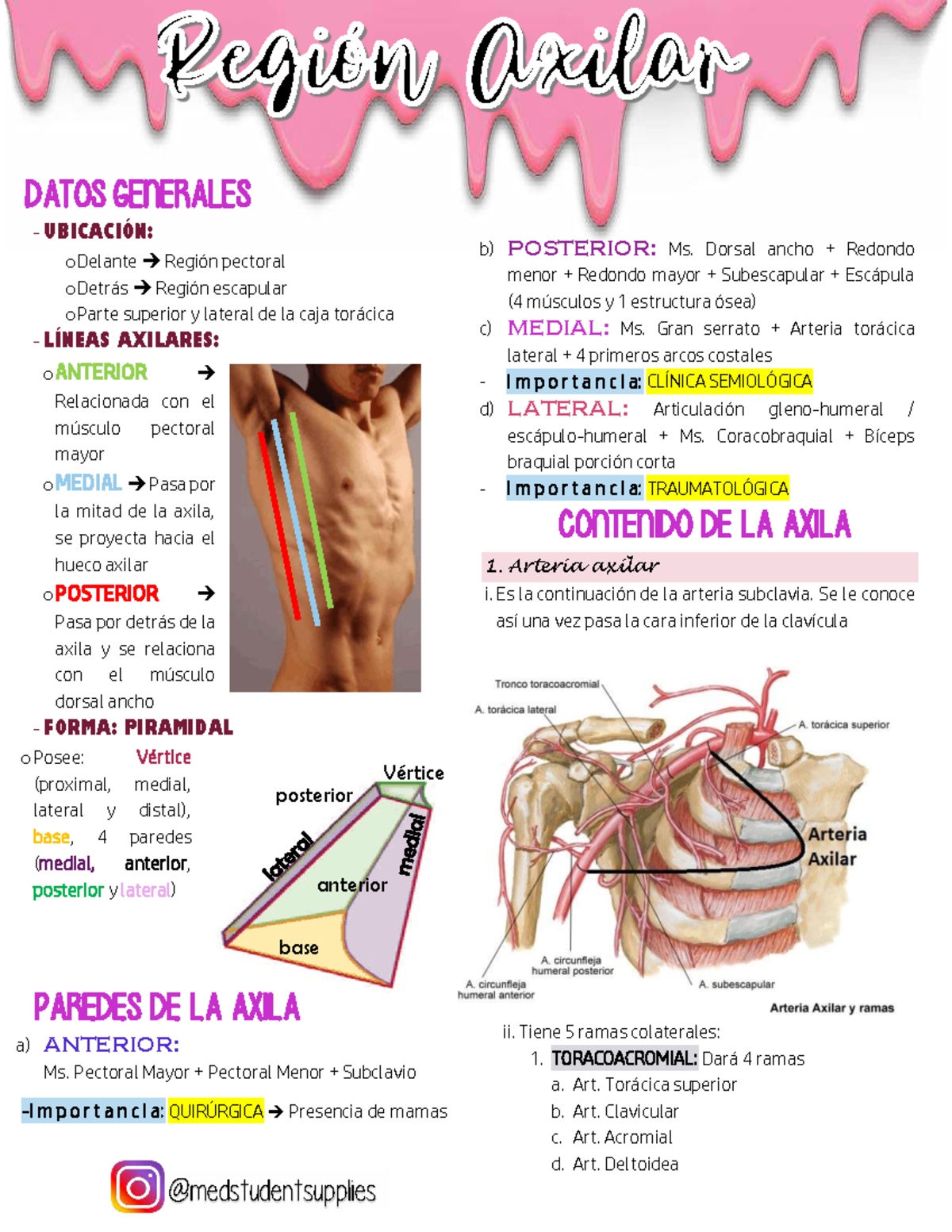 Anatomía de la Axila: Estructuras y Funciones Clínicas - Studocu