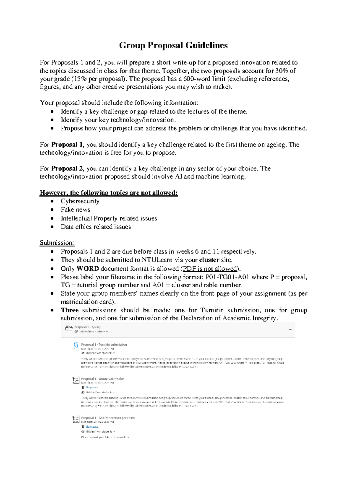 CC0007 Group Proposal Assignment Guidelines - Innovation Focus for 2024 ...
