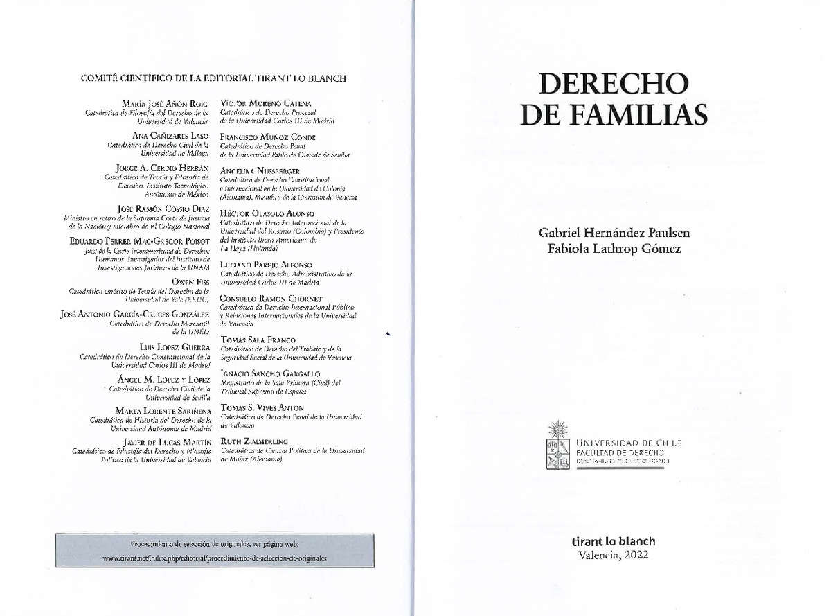 Derecho de Familias: Análisis y Perspectivas Contemporáneas (Derecho 2022) - Document Preview