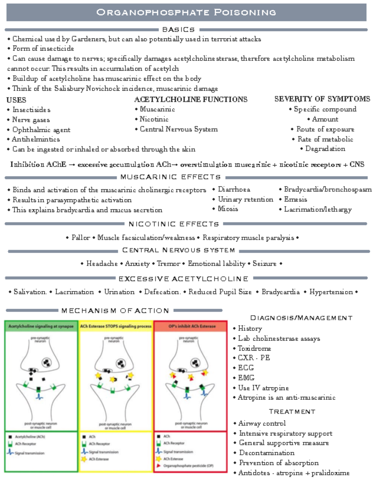 Organophosphate Poisoning: Mechanisms, Effects & Management - Studocu