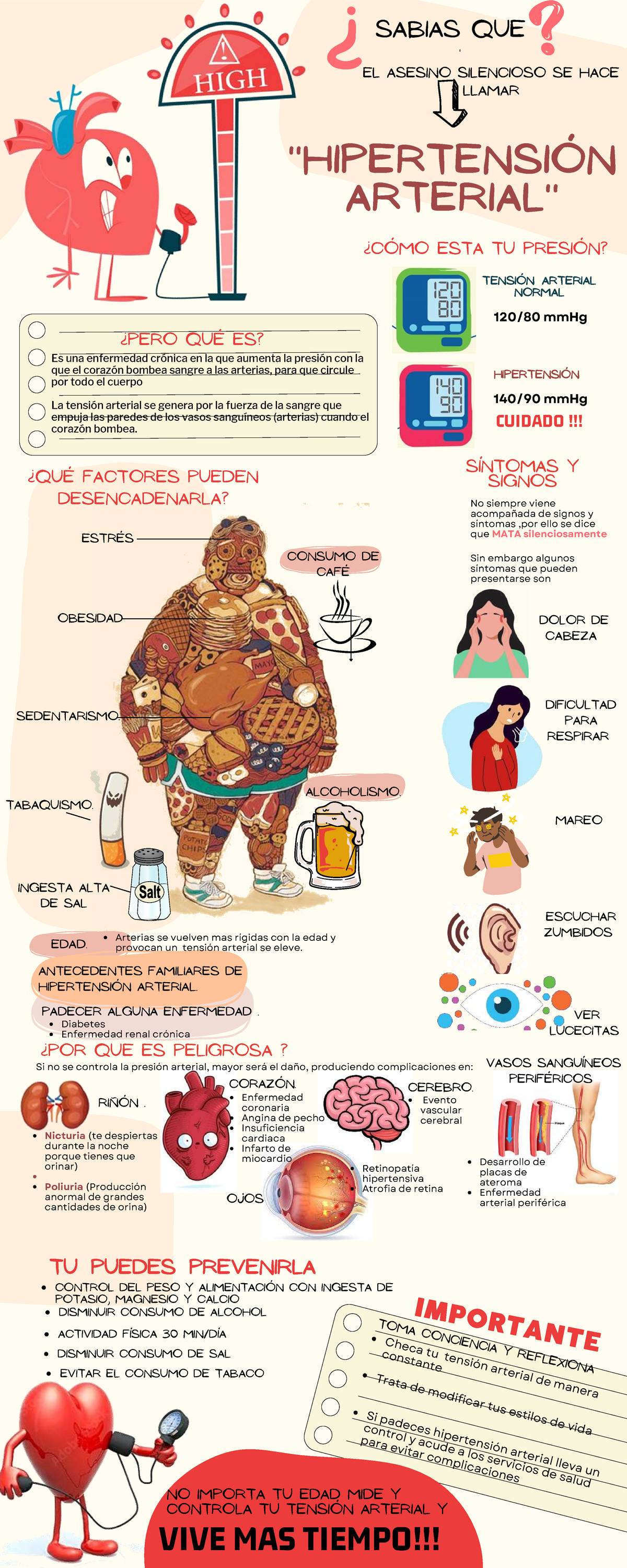 Infografía sobre Hipertensión Arterial: Riesgos y Prevención - Document Preview