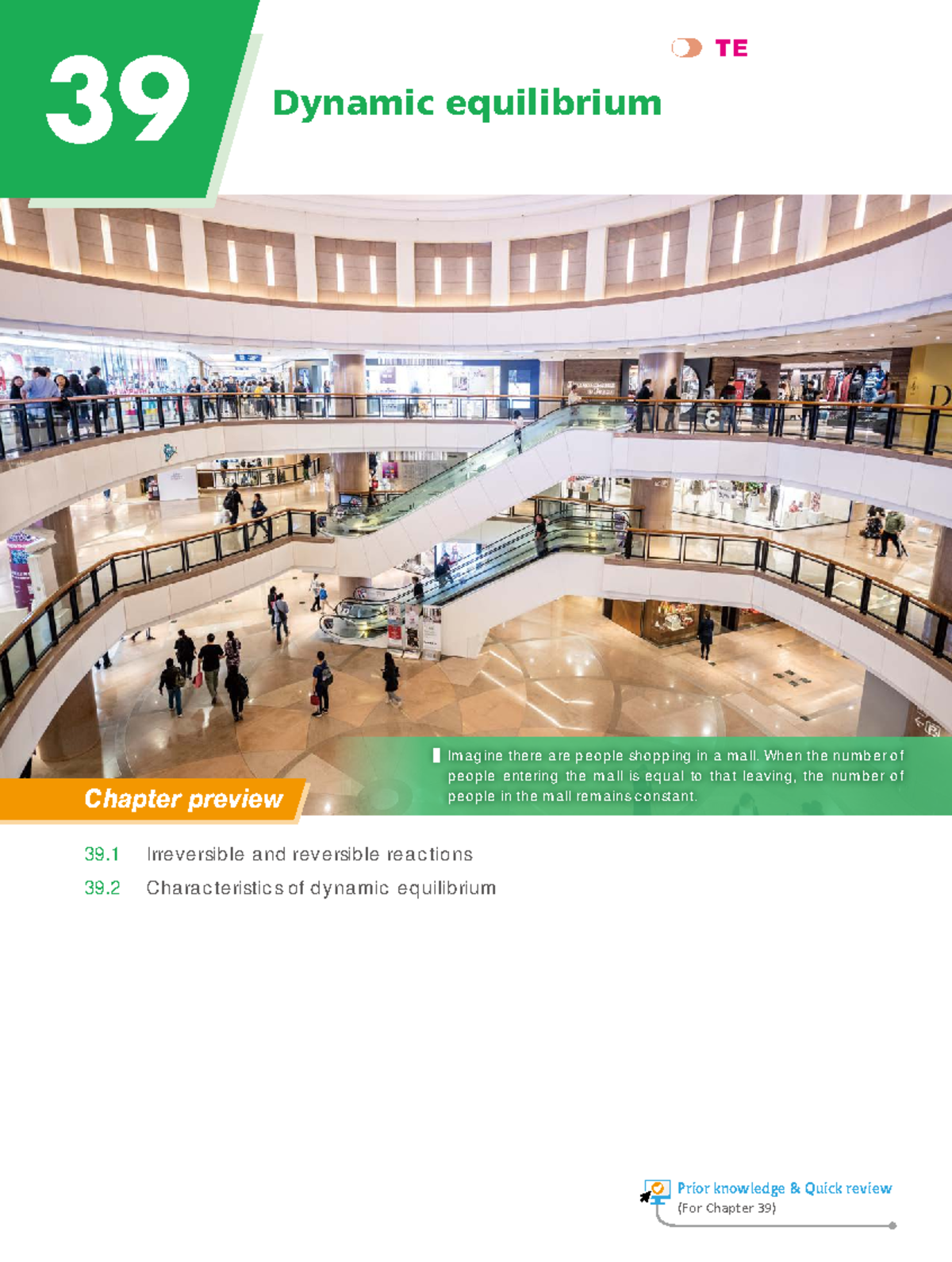 Chapter 39: Reversible and Irreversible Reactions in Chemistry - Document Preview