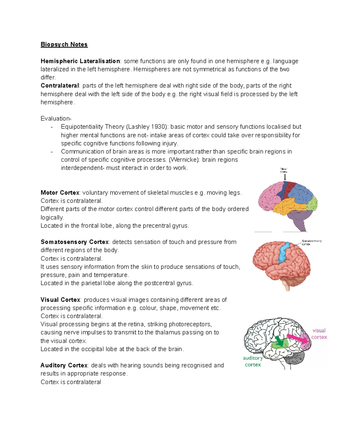 Biopsych 101: Hemispheric Lateralization and Cortical Functions Notes ...