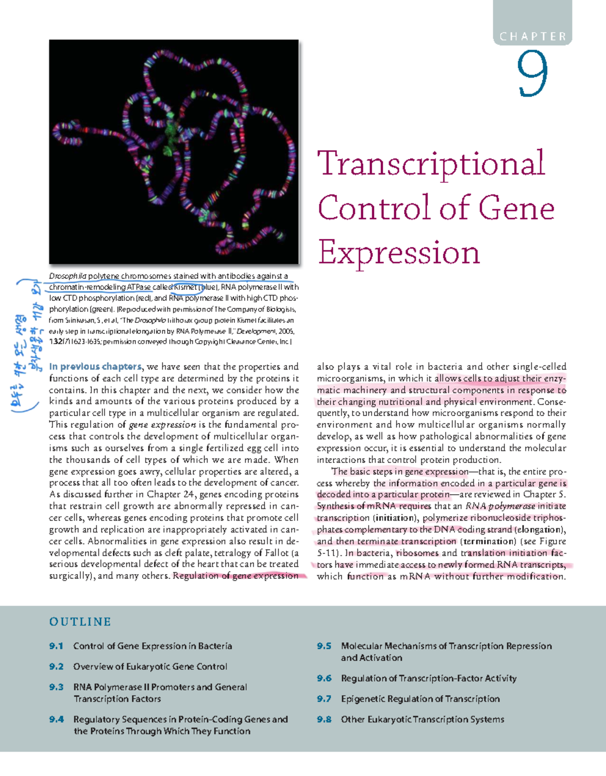 Chapter 9: Transcriptional Control of Gene Expression (BIO 101) - Studocu