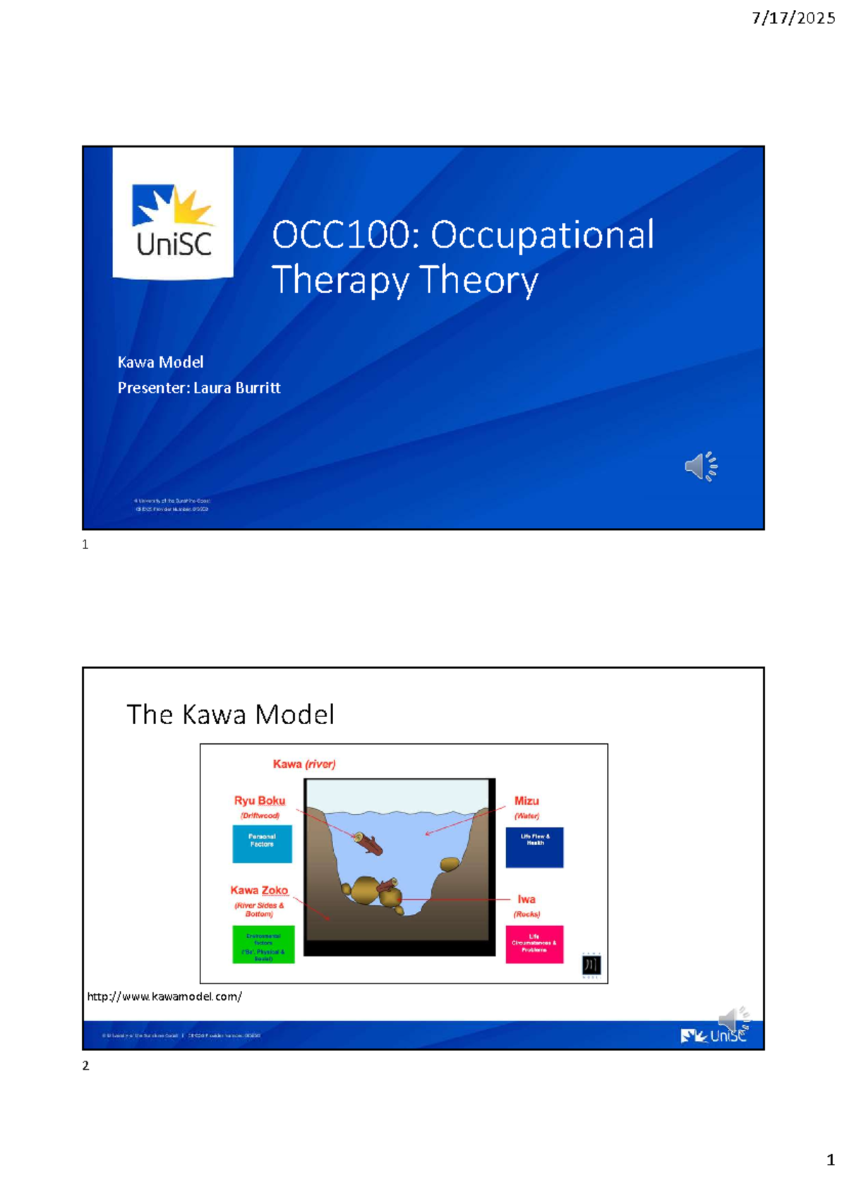 Kawa Model in Occupational Therapy: Concepts & Applications (OCC100 ...
