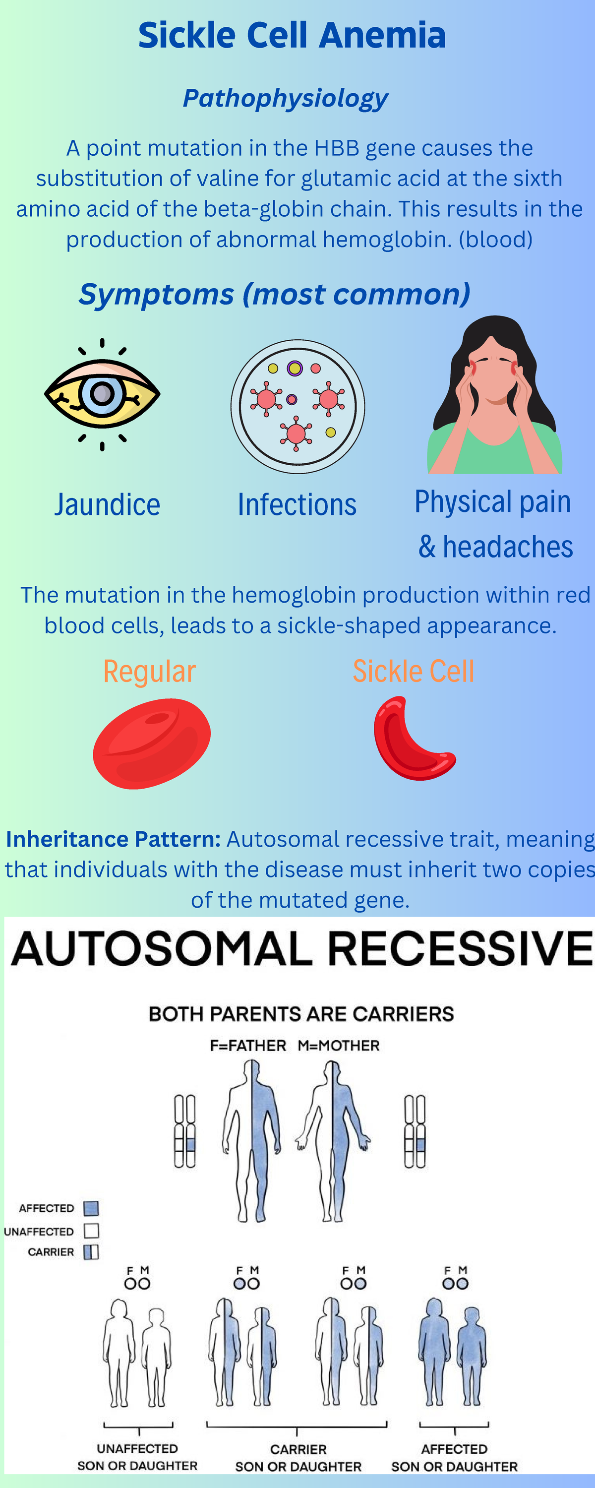 SIckle Cell Anemia - IMAGE - The mutation in the hemoglobin production ...