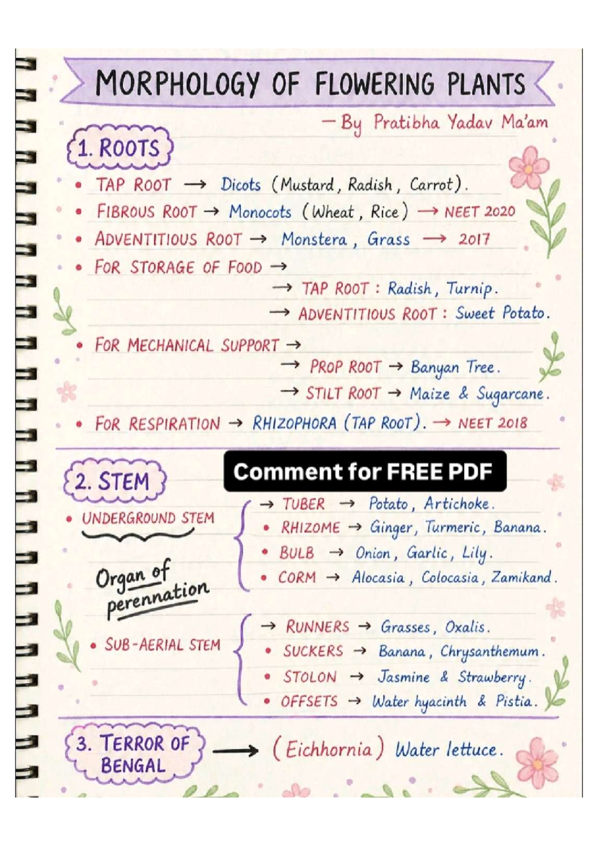 Morphology of Flowering Plants: NEET Revision Notes - Studocu