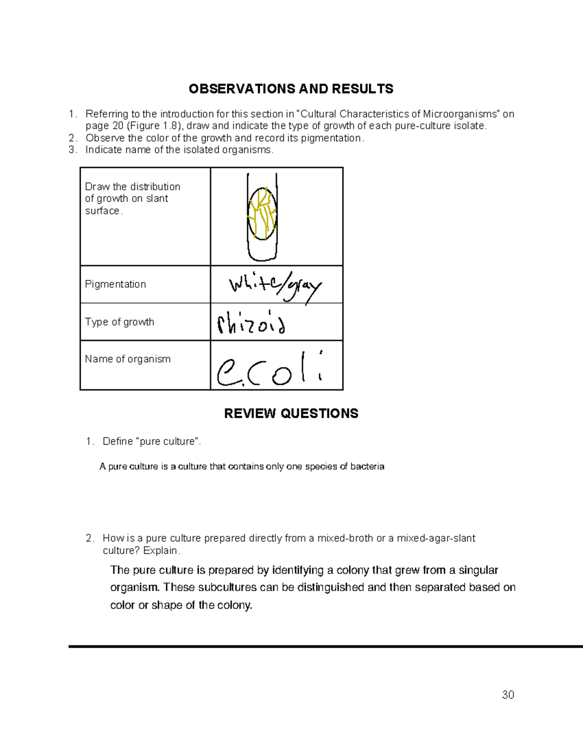 329 Lab Manual Spring 2026 - Section 1: Bacterial Staining Techniques ...