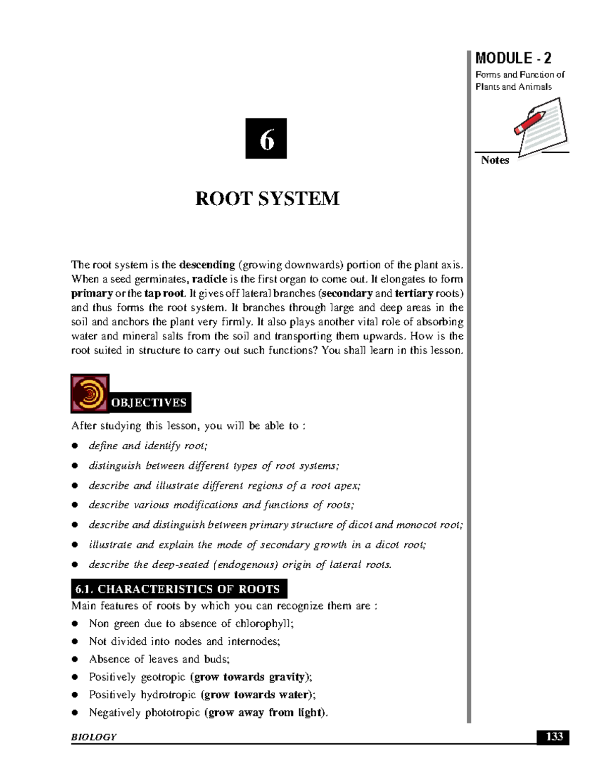 Root System - Lecture Notes 5: Forms, Functions, and Modifications ...