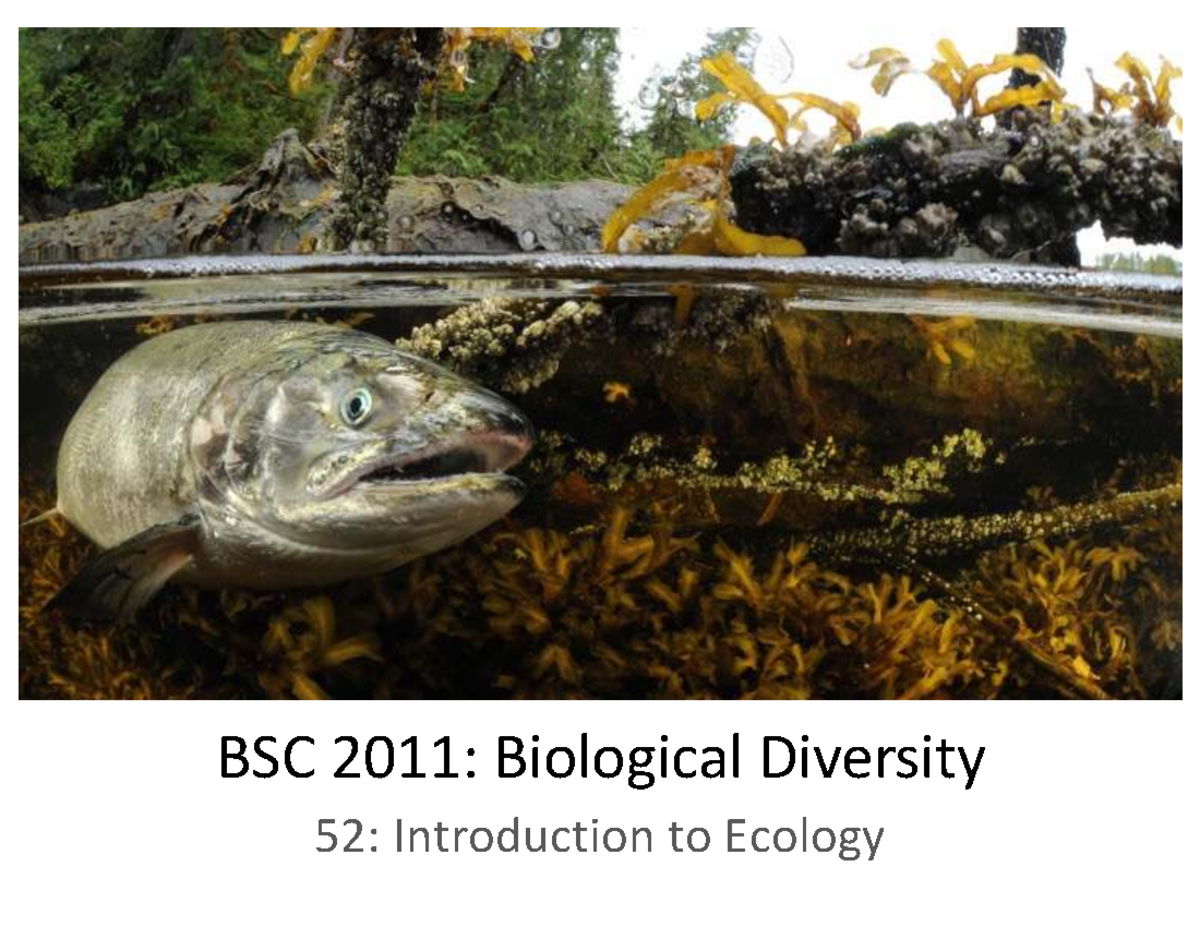 BSC 2011: Final Exam Study Guide for Ecology & Environmental Factors ...
