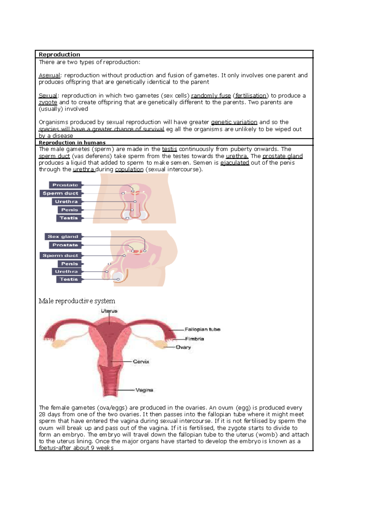 Reproduction Revision Notes - Reproduction There are two types of ...