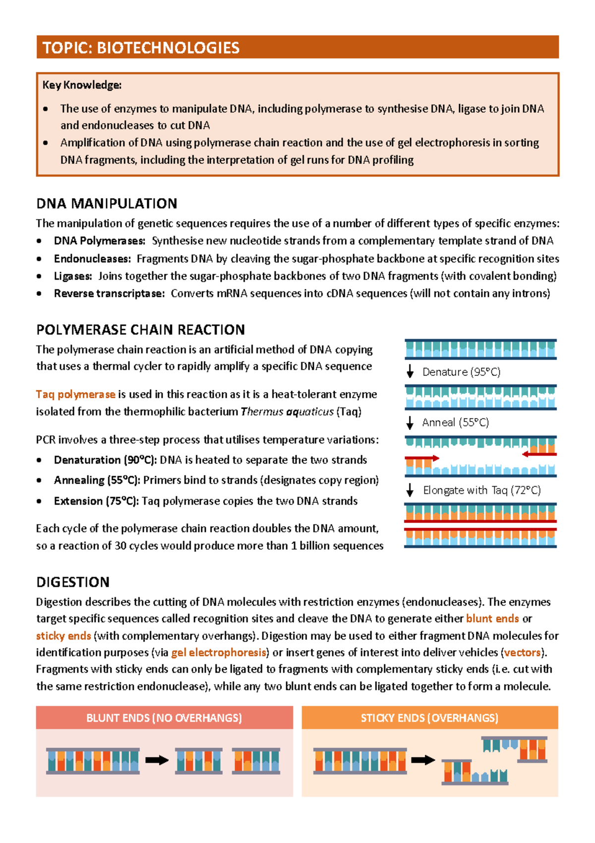 Biotechnologies (BIO101): Key Concepts in DNA Manipulation and PCR ...