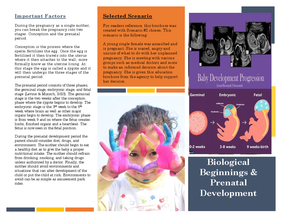 Netchb Intro Brochure Playful, Modern, Business Brochure Design for a ...