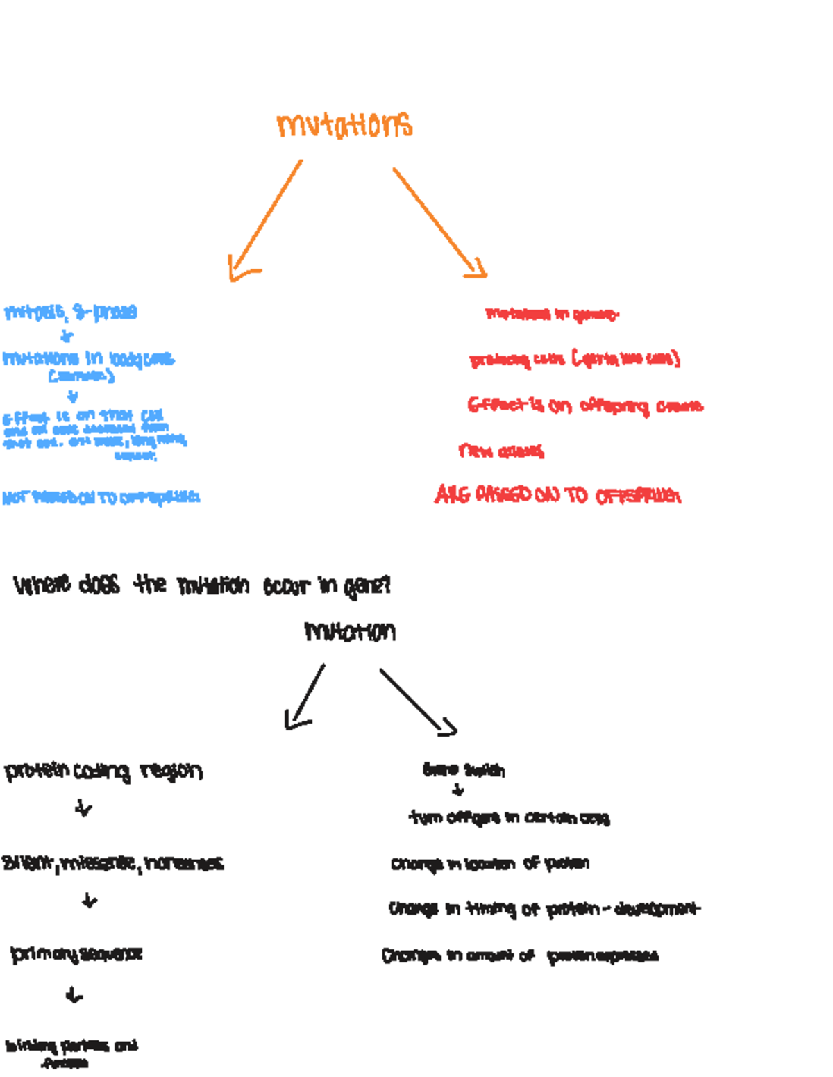 Mutations in Mitosis: Impact on Germline and Somatic Cells (Bio 5 ...