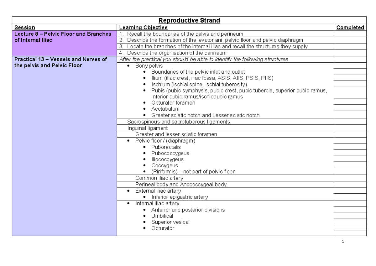 Session Lecture 8 & 9: Pelvic Floor & Perineum Practical Checklist ...