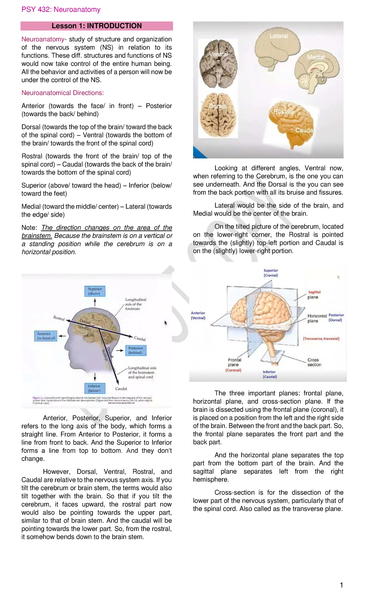 Gray Matter vs White Matter - Lecture Notes on Brain Structure - Studocu