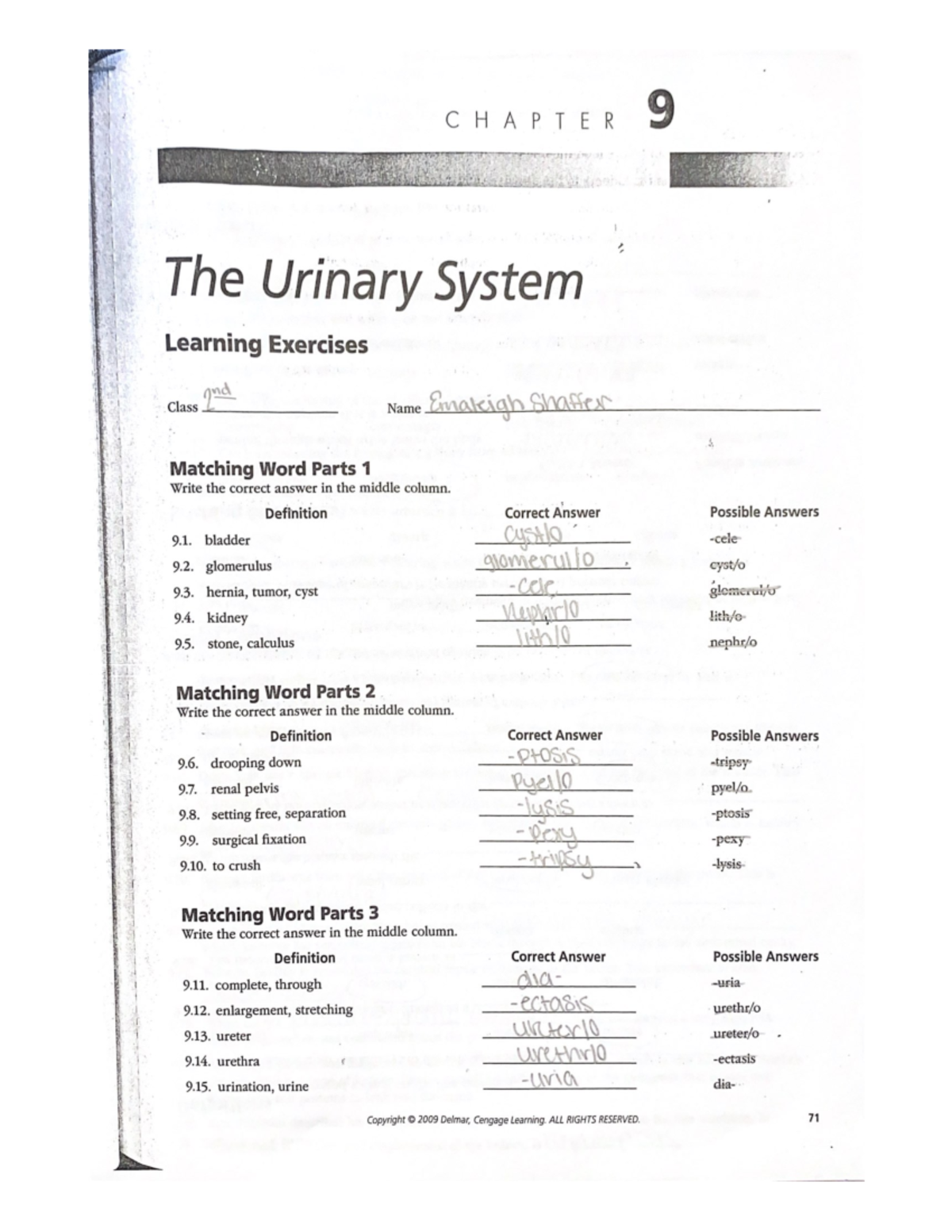 Med Term Assignment: Chapter 9 The Urinary System Notes - Studocu