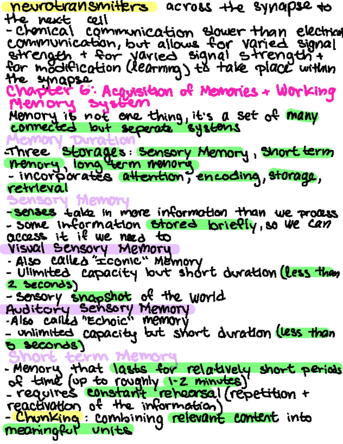 Chapter 6: Memory Acquisition & Working Memory Systems Analysis - Studocu