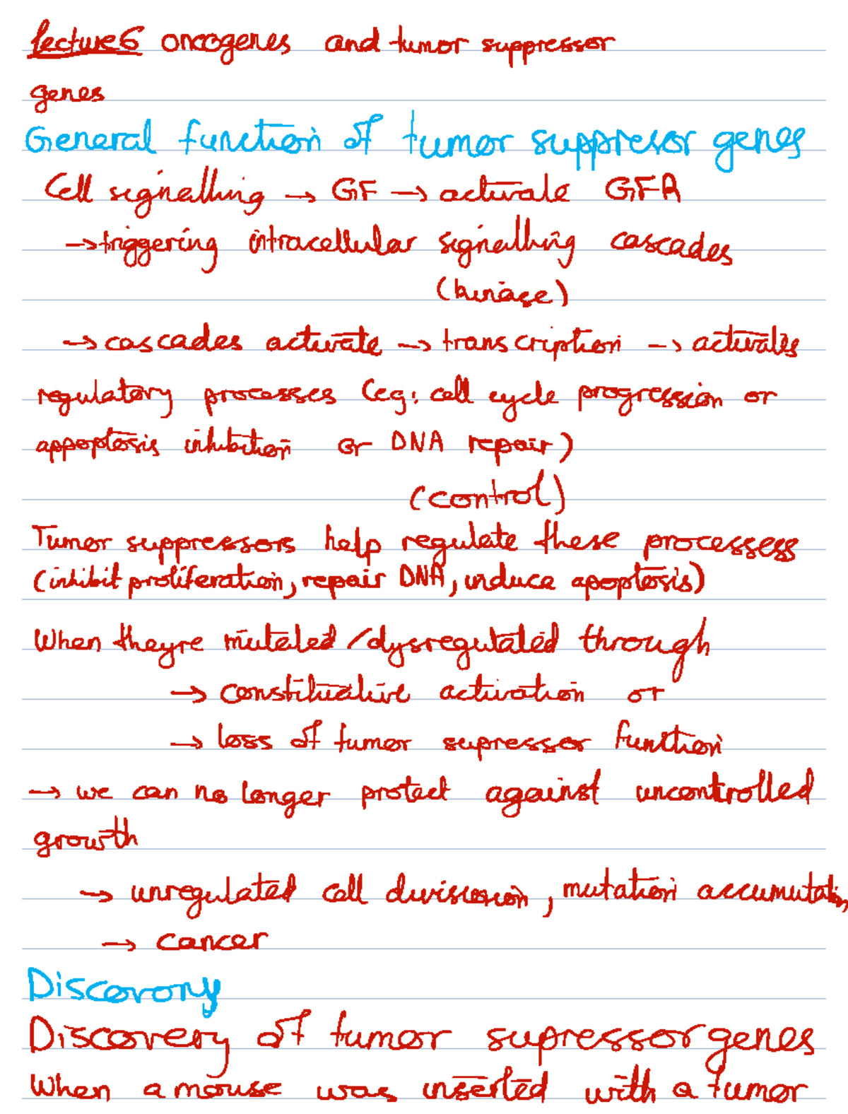 Lecture 6 Summary: Oncogenes & Tumor Suppressor Genes Overview - Studocu