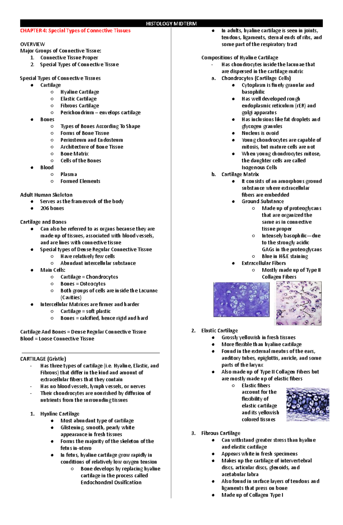 HISTOLOGY MIDTERM CHAPTER 4: Overview of Connective Tissues - Studocu